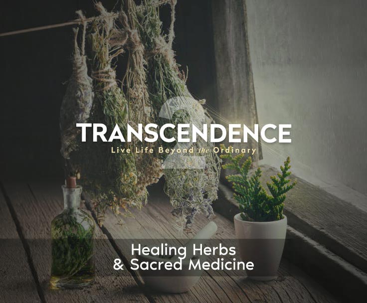 Transcendence